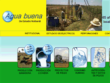 Tablet Screenshot of aguabuena.com.ar